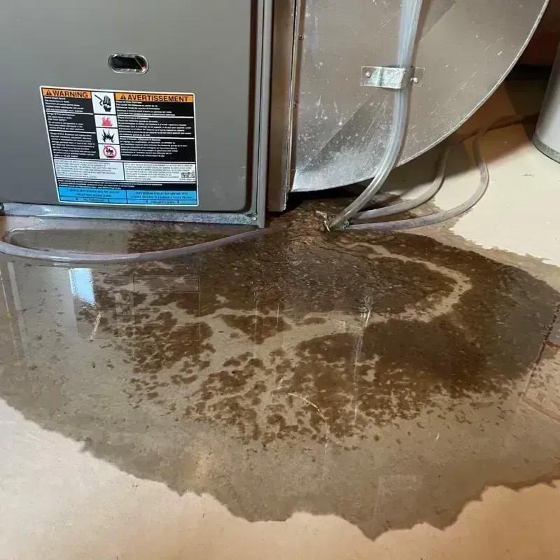 Appliance Leak Cleanup in Christian County, MO